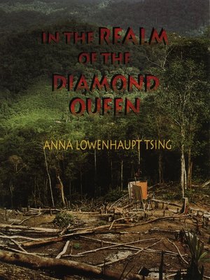 cover image of In the Realm of the Diamond Queen